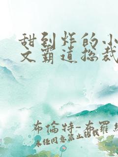 甜到炸的小说宠文霸道总裁