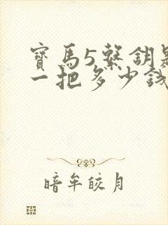 宝马5系钥匙配一把多少钱