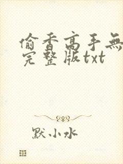 偷香高手无删减完整版txt