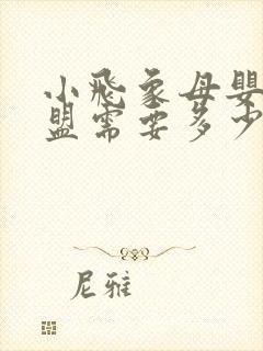 小飞象母婴店加盟需要多少钱