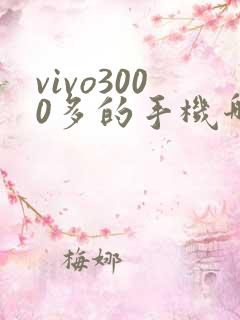 vivo3000多的手机哪款好