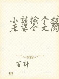 小说捡个校花做老婆全文阅读