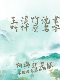 王溪竹沈聿小说叫什么名字