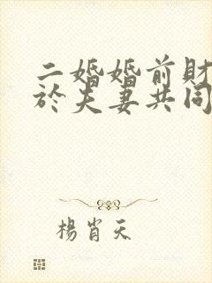 二婚婚前财产属于夫妻共同财产吗