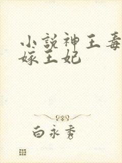 小说神王毒宠二嫁王妃