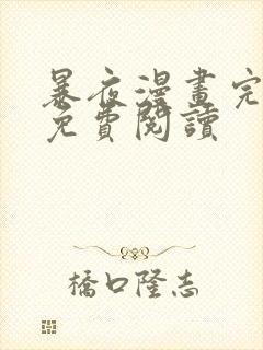 暴夜漫画完整版免费阅读