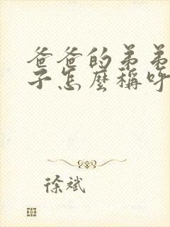 爸爸的弟弟的妻子怎么称呼