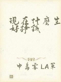 现在什么生意最好挣钱