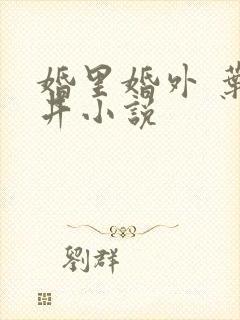 婚里婚外 叶晓井小说