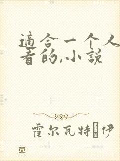 适合一个人偷偷看的,小说