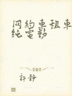 网约车租车平台纯电动