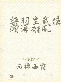 梁羽生武侠小说瀚海雄风