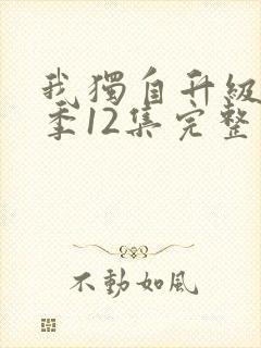 我独自升级第二季12集完整版超前