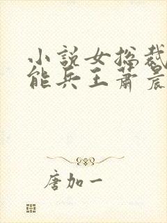 小说女总裁的全能兵王萧晨免费