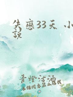 失恋33天 小说