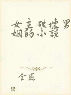 女主破坏男主婚姻的小说