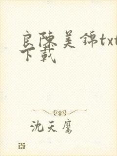 良陈美锦txt下载