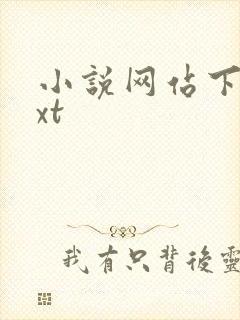 小说网站下载txt