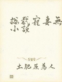 总裁宠妻无度 小说