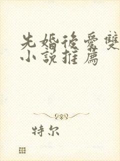 先婚后爱双男主小说推荐