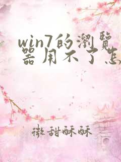 win7的浏览器用不了怎么回事