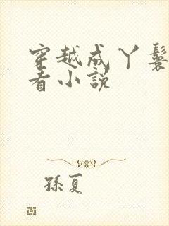 穿越成丫鬟的好看小说