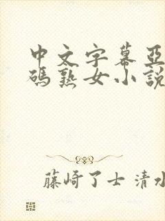 中文字幕亚洲乱码熟女小说