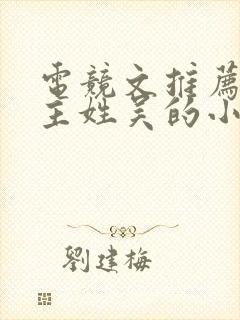 电竞文推荐双男主姓吴的小说