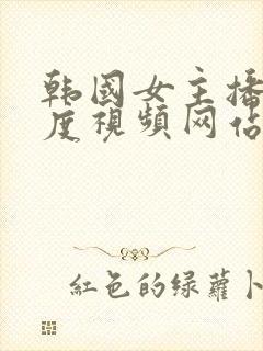 韩国女主播大尺度视频网站