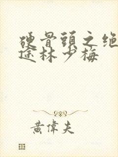 硬骨头之绝地归途林少梅