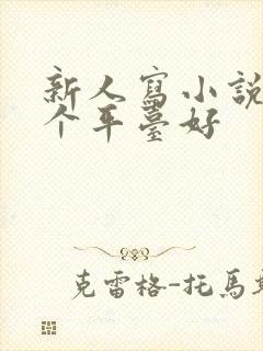 新人写小说去哪个平台好