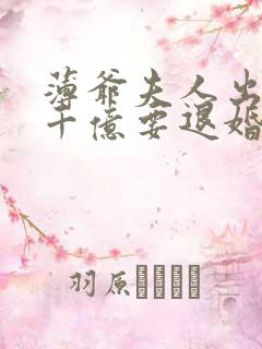 薄爷夫人出价一千亿要退婚下载