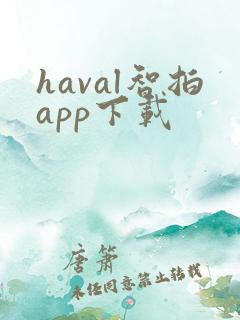 haval智拍app下载