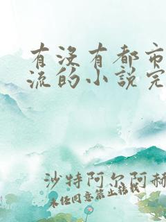 有没有都市无敌流的小说完结版的