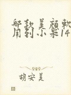 哪款美颜软件能用到小米14微信视频里