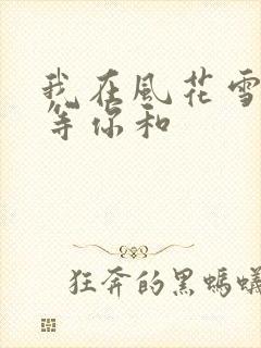我在风花雪月里等你和