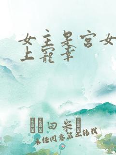 女主是宫女被皇上宠幸