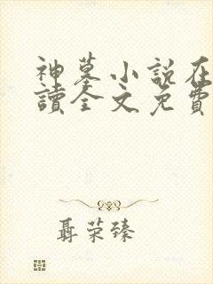 神墓小说在线阅读全文免费