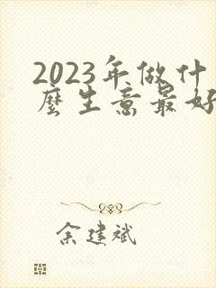 2023年做什么生意最好赚钱
