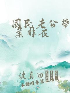 国民老公带回家 叶非夜