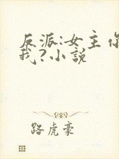 反派:女主你搞我?小说