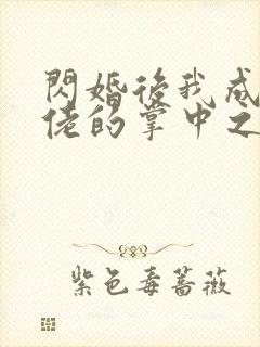 闪婚后我成了大佬的掌中之物1 短剧