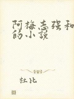 阿梅志强和小可的小说