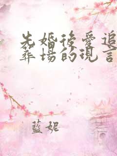 先婚后爱追妻火葬场的现言小说