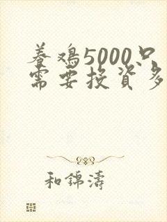 养鸡5000只需要投资多少