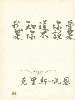 我知道你爱我可是你不说是什么歌