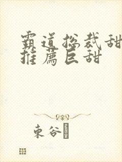 霸道总裁甜宠文推荐巨甜
