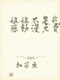 姐姐不是我的初恋动漫免费观看全集