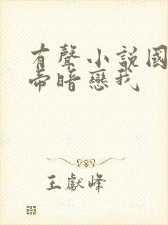 有声小说国民影帝暗恋我