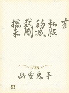 总裁的私有宝贝未删减版